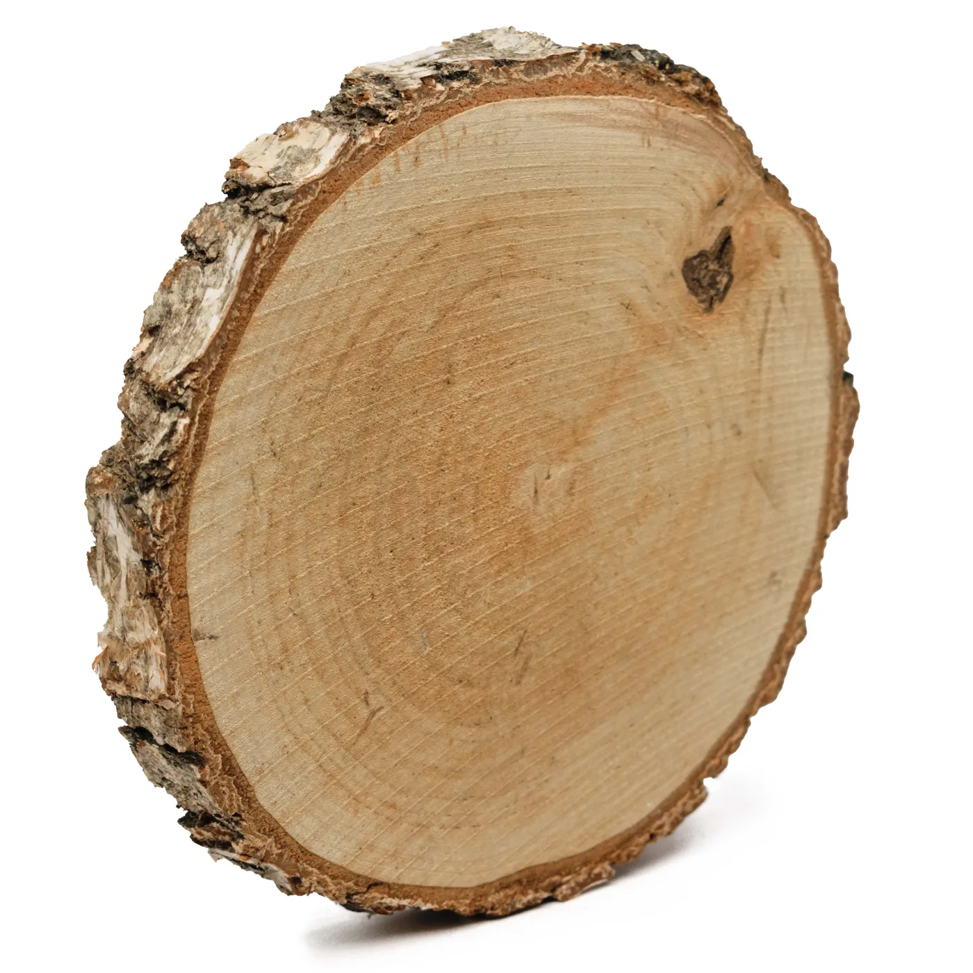 Plátok brezového dreva – nebrúsený – hrúbka 3,5 cm