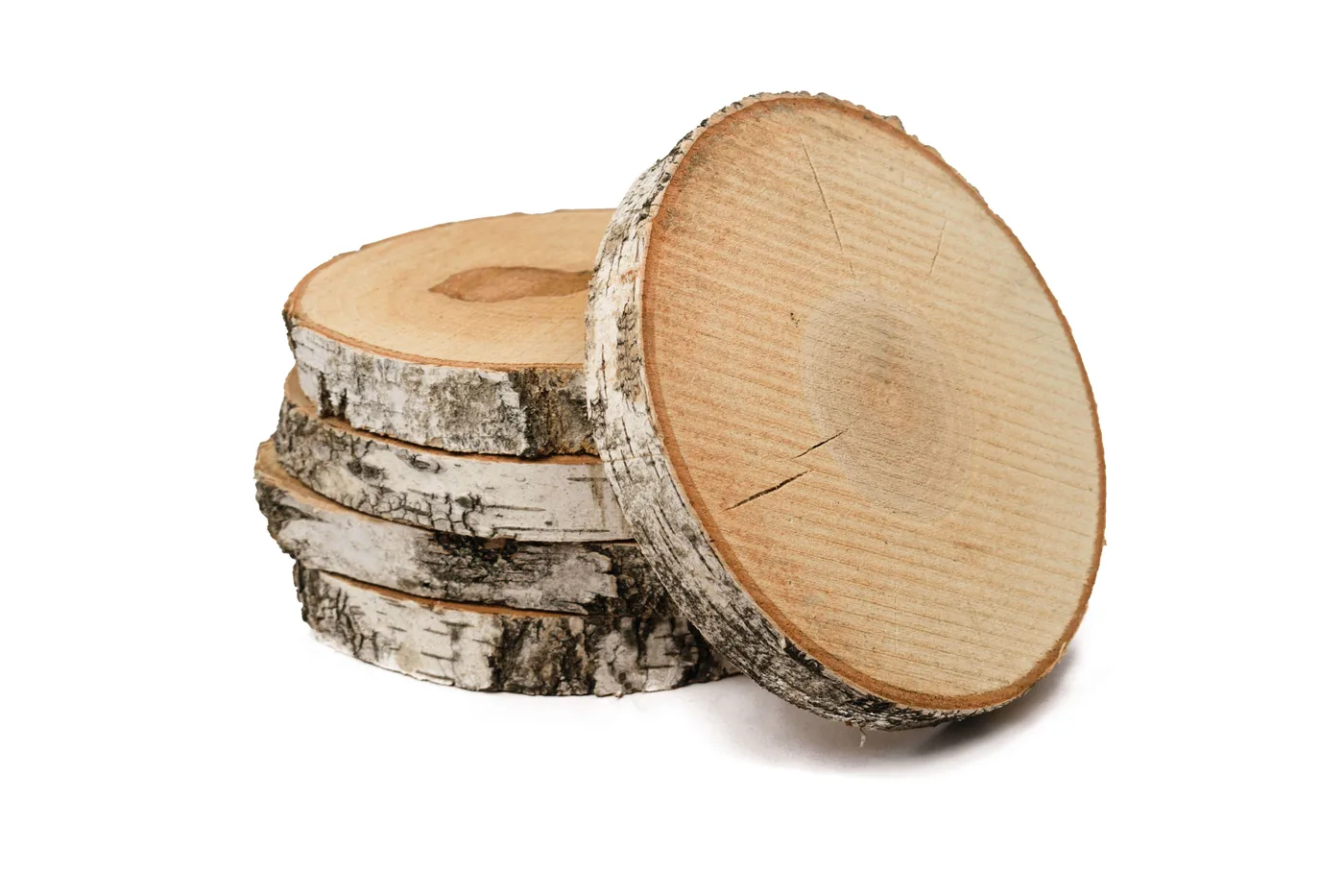 Plátok brezového dreva, priemer 20 – 24 cm, hrúbka 2,5 cm