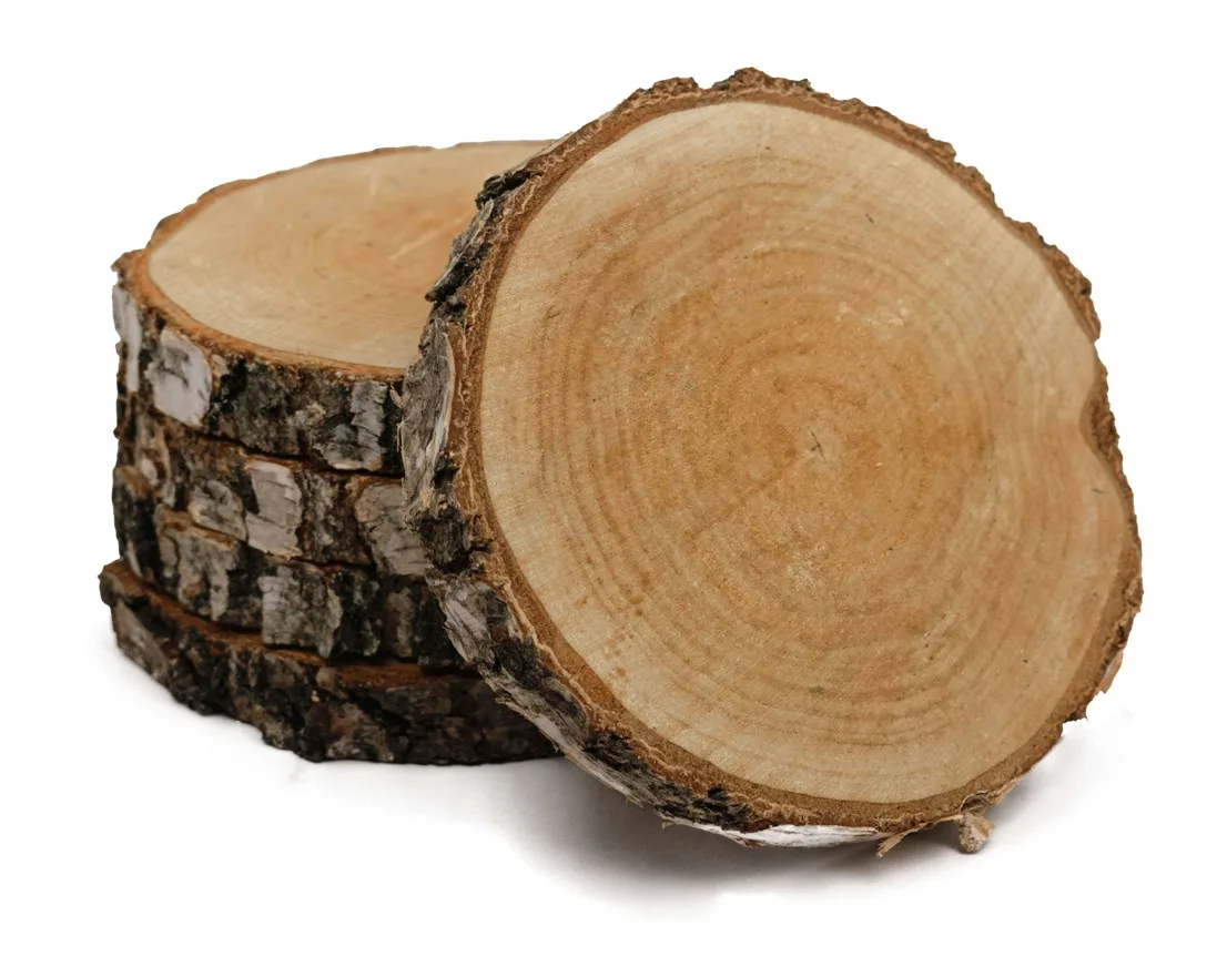 Plátok dreva, priemer 15 – 20 cm, hrúbka 2 cm, s hrubou kôrou