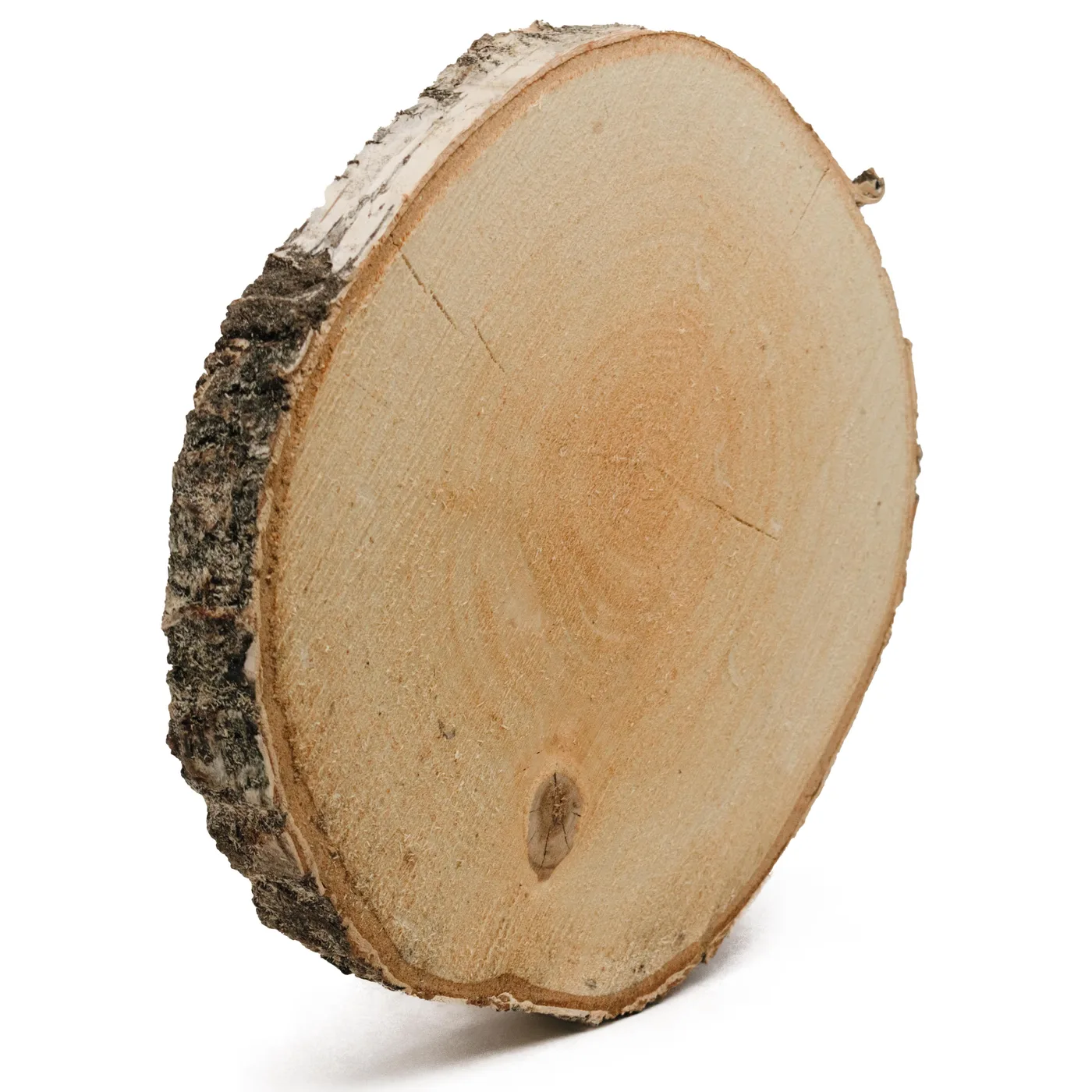 Plátok brezového dreva – nebrúsený – hrúbka 2,5 cm