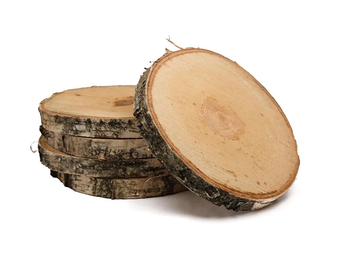 Plátok brezového dreva, priemer 24 – 28 cm, hrúbka 2,5 cm