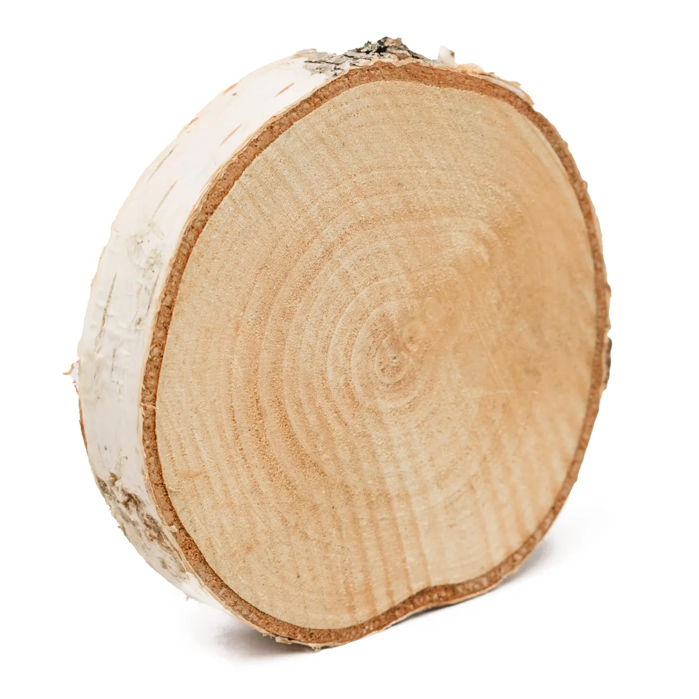 Plátok brezového dreva – nebrúsený – hrúbka 2 cm